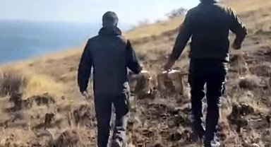 Rehabilite edilen keklikler yeniden doğayla buluştu