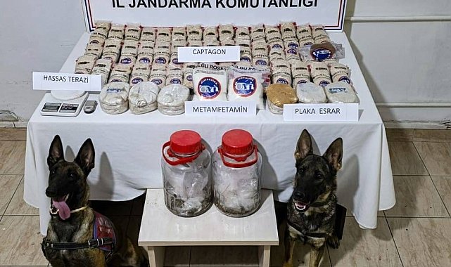 Reyhanlı'da sazlık alanda 100 bin adet uyuşturucu hap ele geçirildi