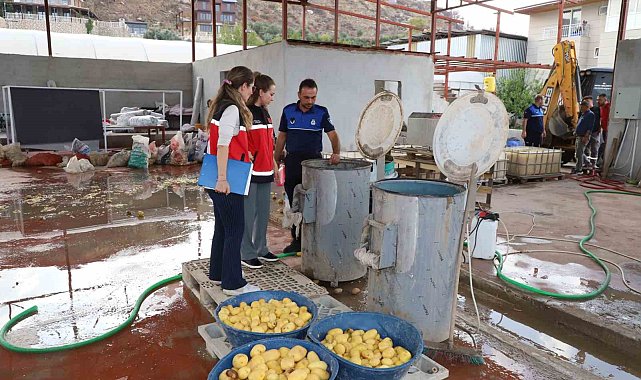Sağlıksız şartlarda patates dilimleyen işletme mühürlendi