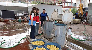 Sağlıksız şartlarda patates dilimleyen işletme mühürlendi