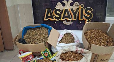 Samandağ'da kaçak tütün operasyonu