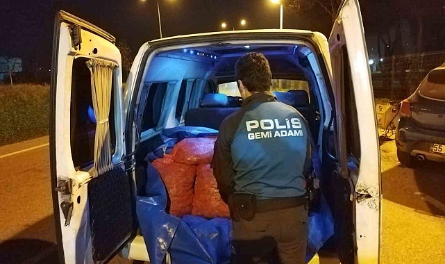 Samsun'da 200 kilo kaçak midye ele geçirildi