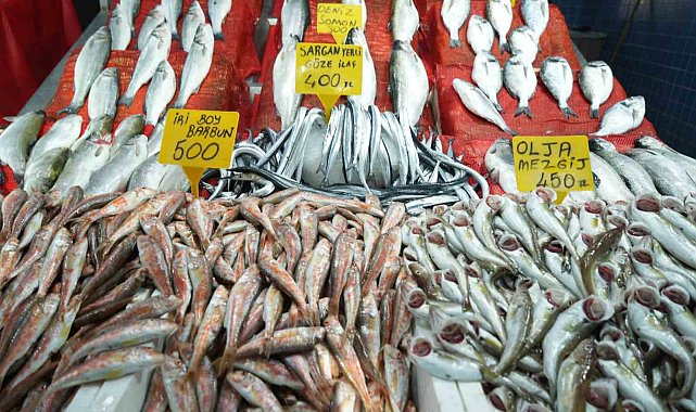 Samsun'da balık fiyatlarında son durum