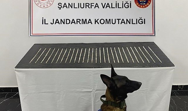 Şanlıurfa'da uyuşturucu operasyonu: 4 gözaltı