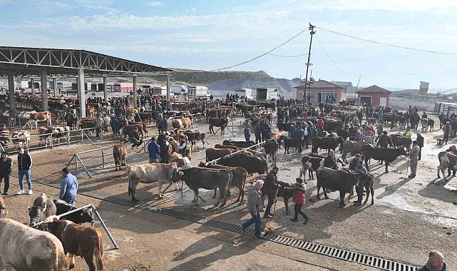 Şap tehlikesi nedeniyle kapatılmıştı, Sorgun Hayvan Pazarı 5 ay sonra yeniden açıldı