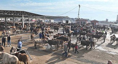 Şap tehlikesi nedeniyle kapatılmıştı, Sorgun Hayvan Pazarı 5 ay sonra yeniden açıldı