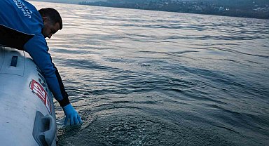 Sapanca Gölü'ndeki kabarcıkların sebebi belli oldu: Yeraltından doğal hava çıkışı