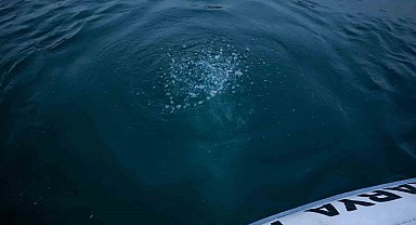 Sapanca Gölü'ndeki kabarcıkların verdiği endişe artıyor: "Herkes korkuyor, rahat uyuyamıyoruz"