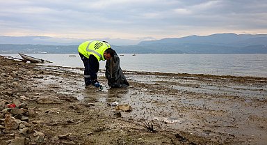 Sapanca Gölü'nde ekosistemi koruyan kıyı temizliği
