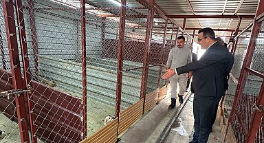Sarıgöl'de hayvan bakım hizmetlerine yakın takip