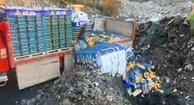 Sarp Sınır Kapısı'nda 6 ton mandalina imha edildi: Zirai ilaç kalıntısı tespit edildi