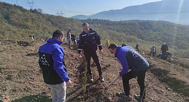 SEDAŞ, 4 ilde 500 fidanı toprakla buluşturdu