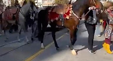 Şehir merkezinde gezdirilen atlar vatandaşları meraklandırdı