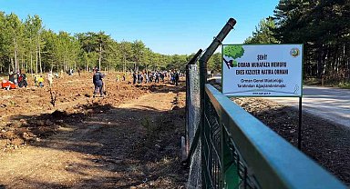 Şehit orman işçisi Enes Kızılyer anısına çeşme açılışı ve fidan dikimi yapıldı