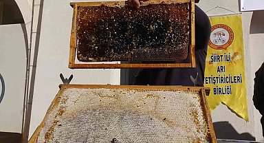 Siirt'te arıcılara 268 milyon 765 bin liralık destek