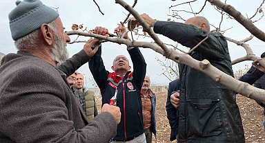 Siirt'te fıstık üreticilerine teorik ve pratik 'budama' ile 'gübreleme' eğitimi