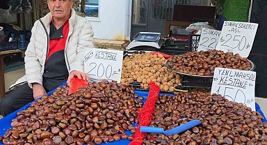 Simav kestanesi kış aylarının gözdesi