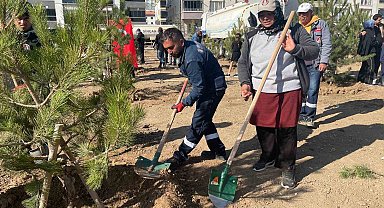Sincan Belediye Başkanı Ercan: "Sincan'da kişi başına düşen yeşil alan için 15 metrekare civarında bir alandan söz edebiliriz"
