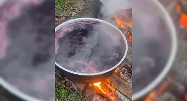 Sinop köylerinde kazanlar kaynıyor: Kışlık pekmez mesaisi