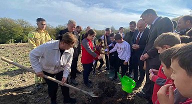 Sinop'ta 3 bin 860 fidan toprakla buluştu