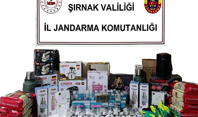 Şırnak'ta 14 milyon liralık kaçakçılığa 2 tutuklama