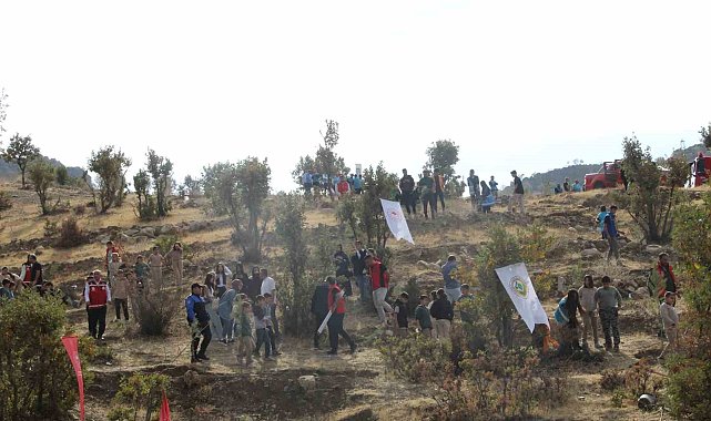 Şırnak'ta "Adliye Hatıra Ormanı" kuruldu