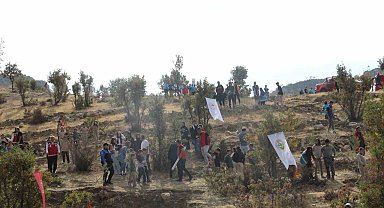 Şırnak'ta "Adliye Hatıra Ormanı" kuruldu