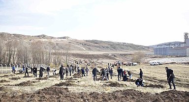 Sivas OSB'de yeşil dönüşüm binlerce fidan toprakla buluşuyor