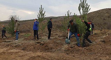 Sivas'ta 58 bin fidan toprakla buluşturuldu