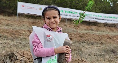 Sivas'ta 90 bin fidan toprakla buluştu