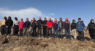 Sivas'ta meralar on binlerce tuz çalısı ile yeşerecek