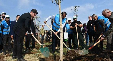 Siverek'te fidanlar geleceğe nefes olacak