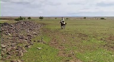 Siverek'te ilginç anlar kameraya yansıdı