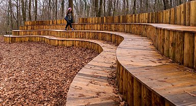 Sonbaharda huzurun adresi Ormanya'da kartpostallık görüntüler