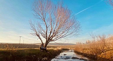Sonbaharda sararan yapraklar görsel şölen oluşturdu
