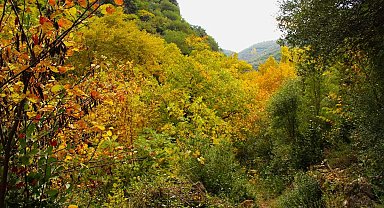 Sonbaharın güzelliğine bürünen Koçak Kanyonu'na dikkat çektiler
