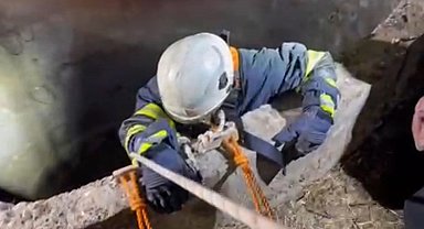 Su kuyusuna düşen çakalı itfaiye ekipleri kurtardı