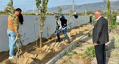 Sultanhisar'da can dostları için yeşil dokunuş