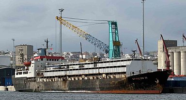 Tahliye yasağı, telef olan hayvanlar ve kötü koku: Spiridon 2 krizi derinleşiyor