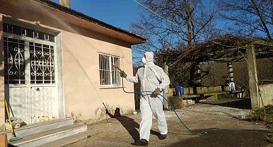 Tarım ve Orman İl Müdürlüğü'nden 'Kahverengi Kokarca' çağrısı