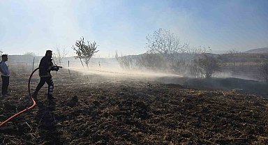 Tarlada çıkan yangın söndürüldü