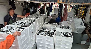 Tayfalar mutlu: Yüzlerce kasa balık yakalandı