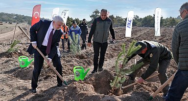 TEI'den 17 bin fidanlık 40. Yıl Hatıra Ormanı