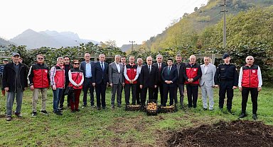 Tescilli Ordu kivisinde hasat başladı: İlin ekonomisine 520 milyon TL katkı