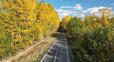 Tokat'ta belediyenin yaprakları temizlemediği parklarda renk cümbüşü oluştu
