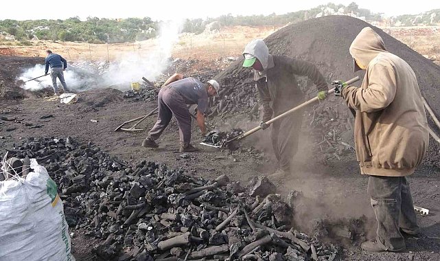 Torosların eteğinde zorlu 'kömür' mesaisi