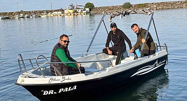 Trabzon kıyılarında köpek balığı hareketliliği arttı