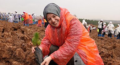 TÜRGEV'li gençler Milli Ağaçlandırma Günü'nde Yeşil Vatan için kenetlendi