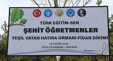 Türk Eğitim-Sen Genel Başkanı Geylan: "Maalesef her yıl on binlerce hektarımız yanıyor"