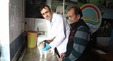 Uşak'ta kedi ve köpek sahiplerine mikroçip uyarısı